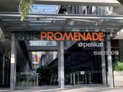 The Promenade@Pelikat (D19), Shop House #458106101